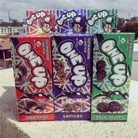 Trefoils, Do-si-dos, Samoas, Tagalongs, Thin mints Mushroom Oneup-Bars