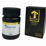 SPECTRA MYCELIUM – Gold 200mg