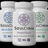 SoulCybin