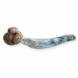 Magic Mushroom vendors
