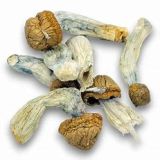magic mushrooms online shop uk
