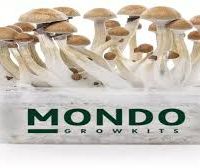 Mondo Grow Kit PES