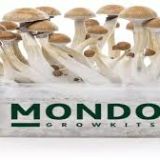 Mondo Grow Kit PES