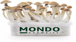 Mondo Grow Kit PES